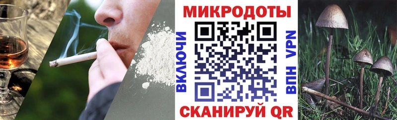 blacksprut как зайти  Солнечногорск  Псилоцибиновые грибы Psilocybine cubensis 